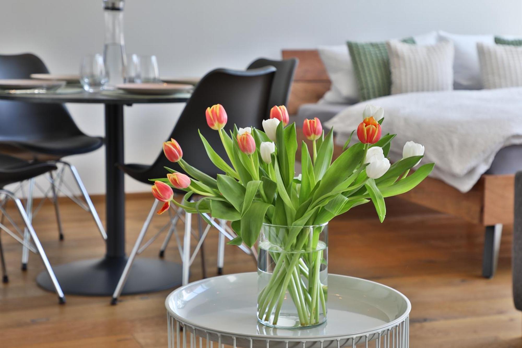 Moderne Studio-wohnung
